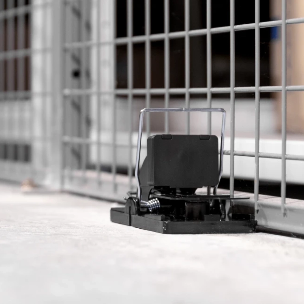 Rat Riddance Connect in situ