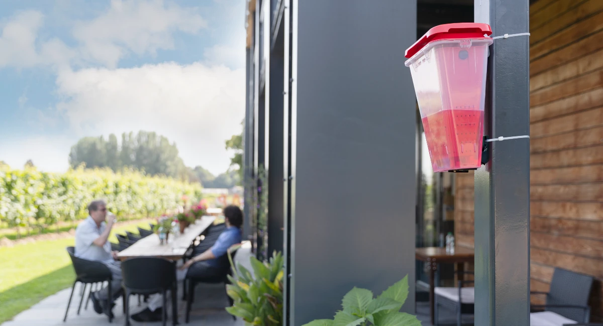 An EcoCatch fly trap on a metal post in an outdoor seating area