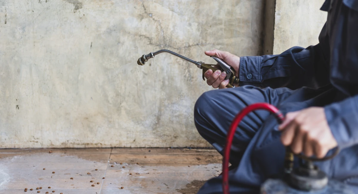 professional-exterminator-in-work-wear-spraying
