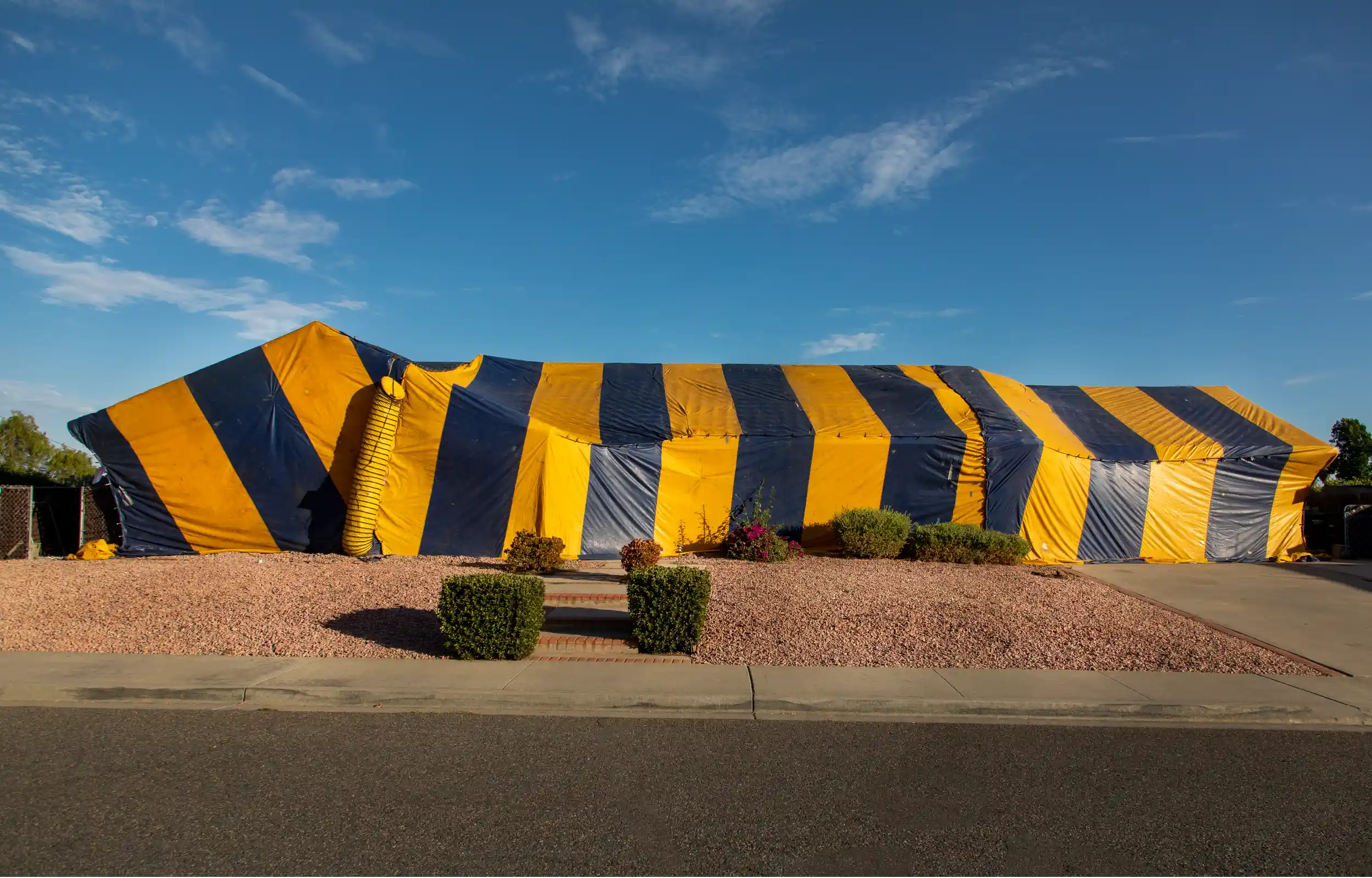 Structural fumigation is a method whereby the entire building is sealed with tarps and filled with fumigant gas.