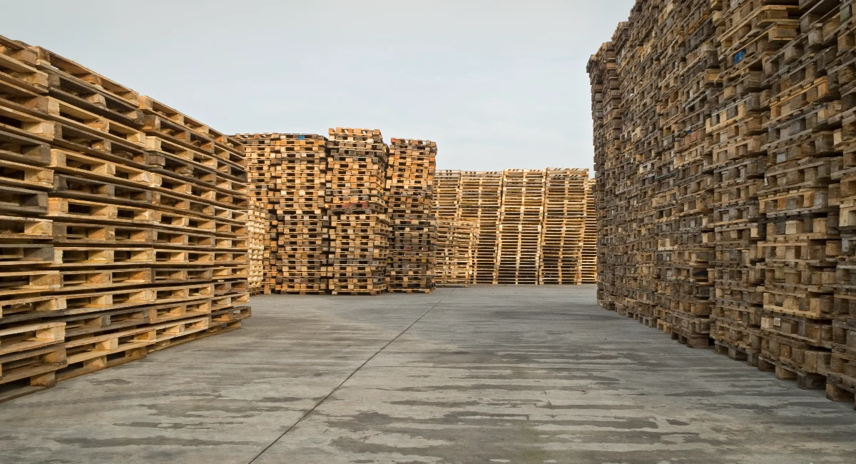 Pallet yard with many pallets